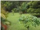 56 Driers Road, Cooran QLD 4569