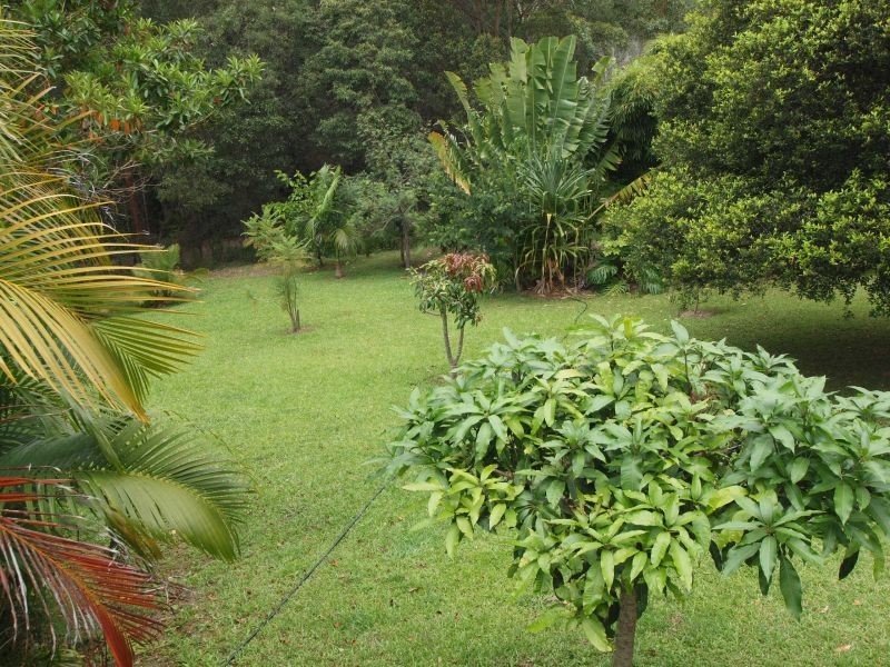56 Driers Road, Cooran QLD 4569