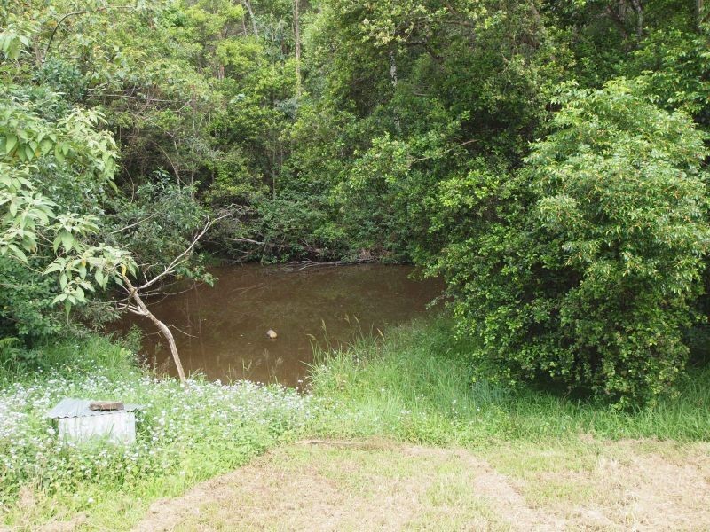 56 Driers Road, Cooran QLD 4569