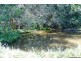 56 Driers Road, Cooran QLD 4569