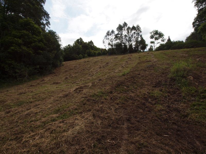 56 Driers Road, Cooran QLD 4569