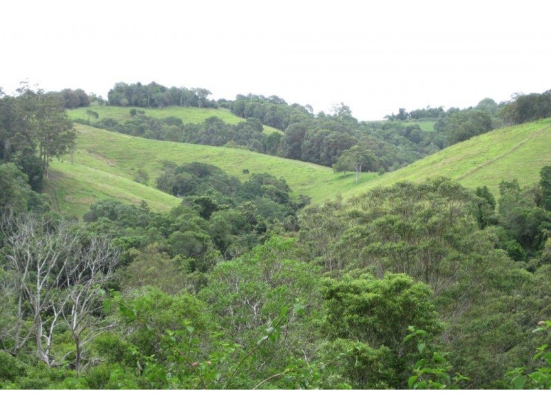 77 King Parrot Lane, Cooroy QLD 4563