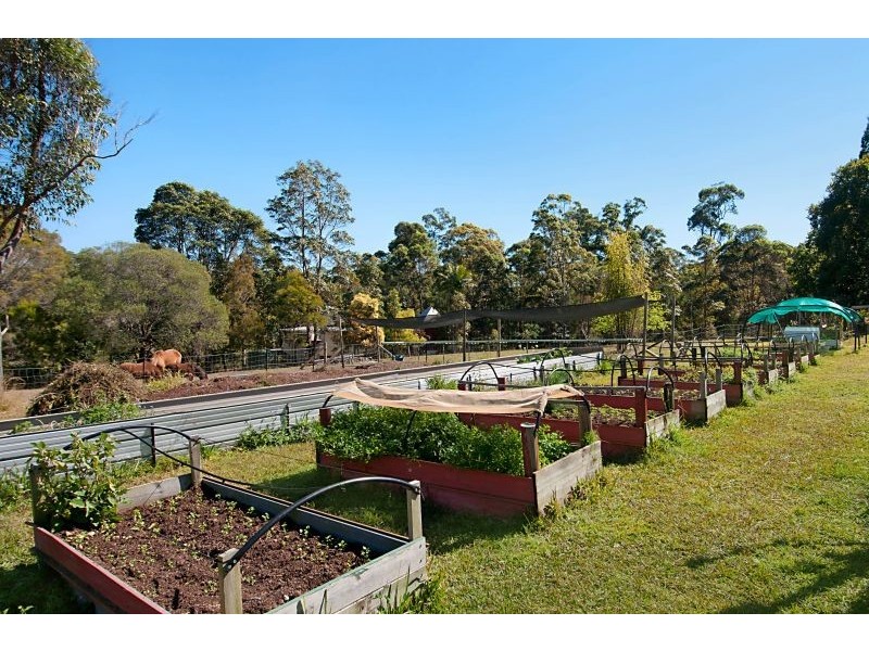 630 Louis Bazzo Drive, Pomona QLD 4568