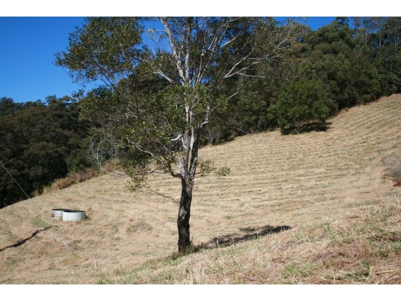 142 Musa Vale Road, Cooroy QLD 4563