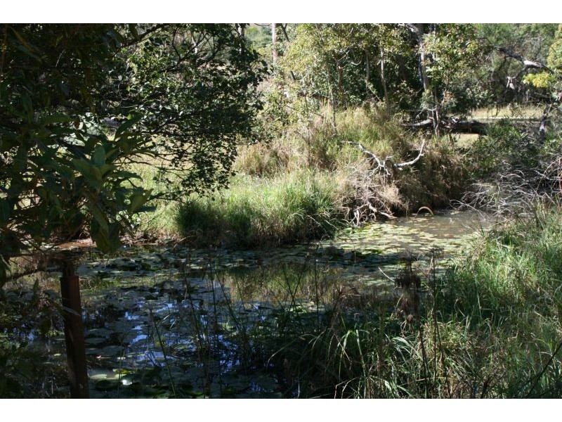 142 Musa Vale Road, Cooroy QLD 4563