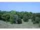 233 Ocean View Road, Cooroy QLD 4563