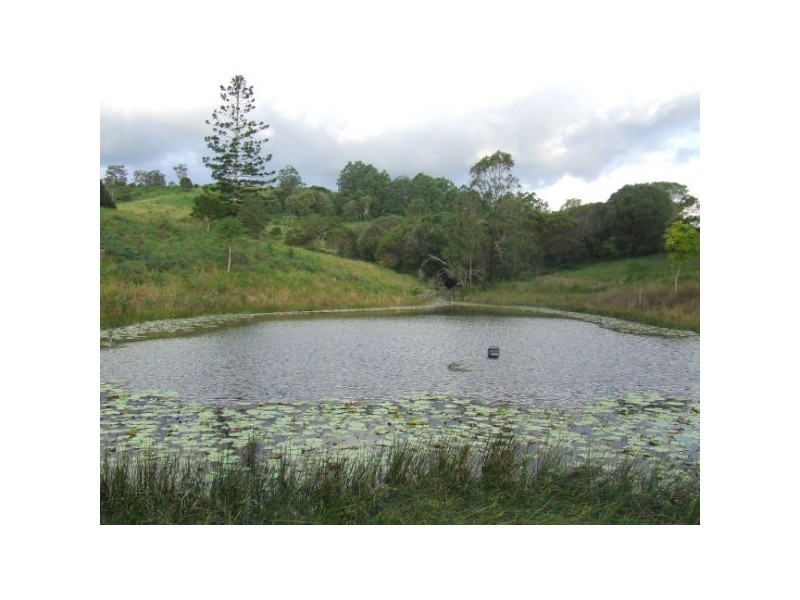 299 Poulsens Road, Cooroy QLD 4563