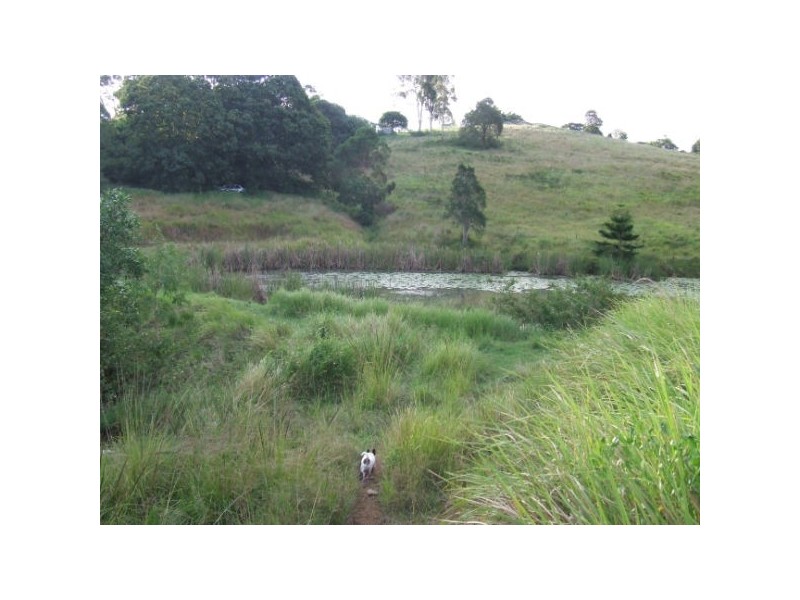 299 Poulsens Road, Cooroy QLD 4563