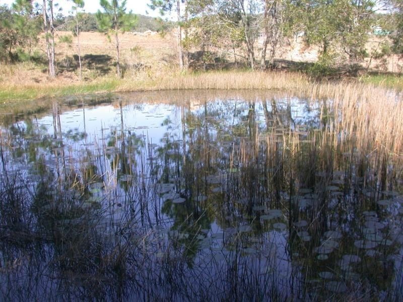 4 Hidden Valley  Road, North Arm QLD 4561