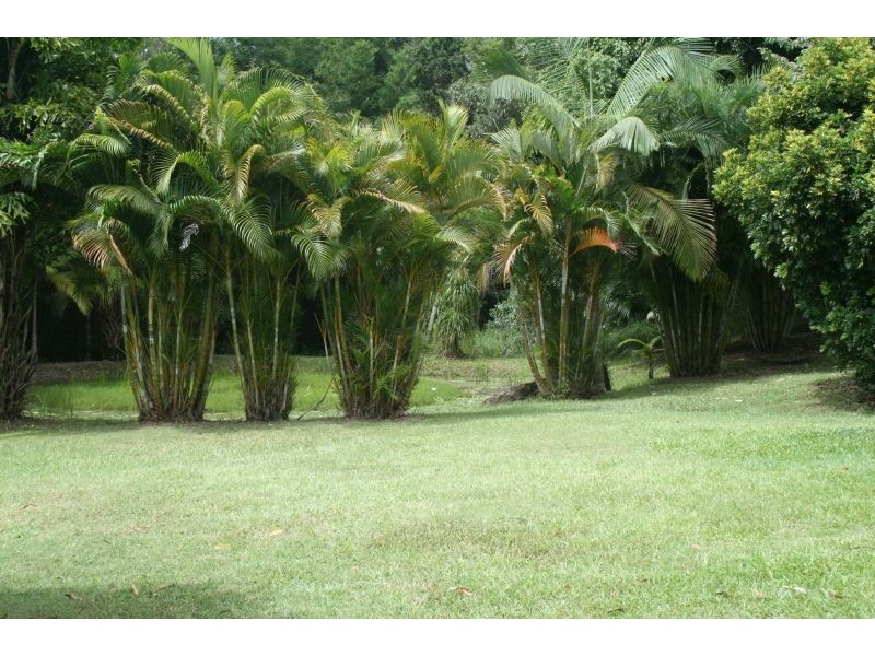 38 Kamala Drive, Cooroy QLD 4563