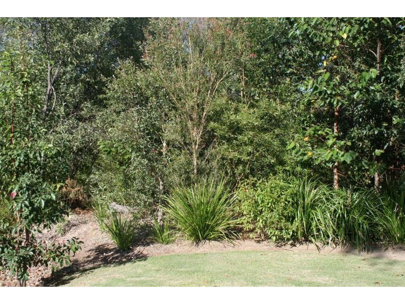Lot 19 Brialka Court, Cooroy QLD 4563