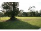 123 Forest Acres Drive, Cooroy QLD 4563