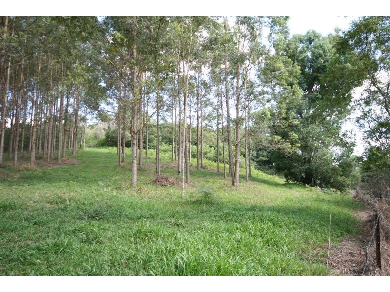 219 Ferrells Road, Cooroy QLD 4563