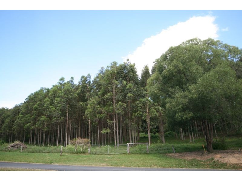 219 Ferrells Road, Cooroy QLD 4563