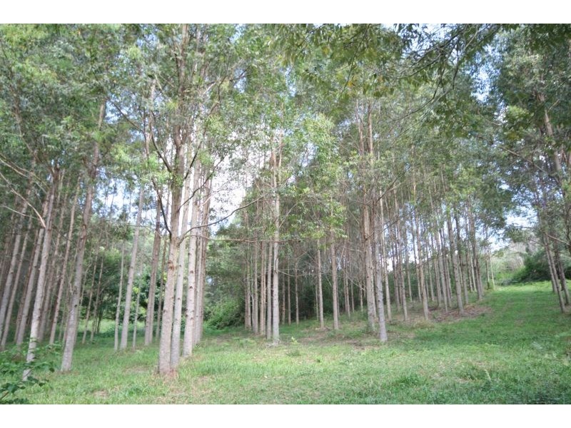 219 Ferrells Road, Cooroy QLD 4563