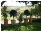 329a Cooroy Belli Creek Road, Cooroy QLD 4563