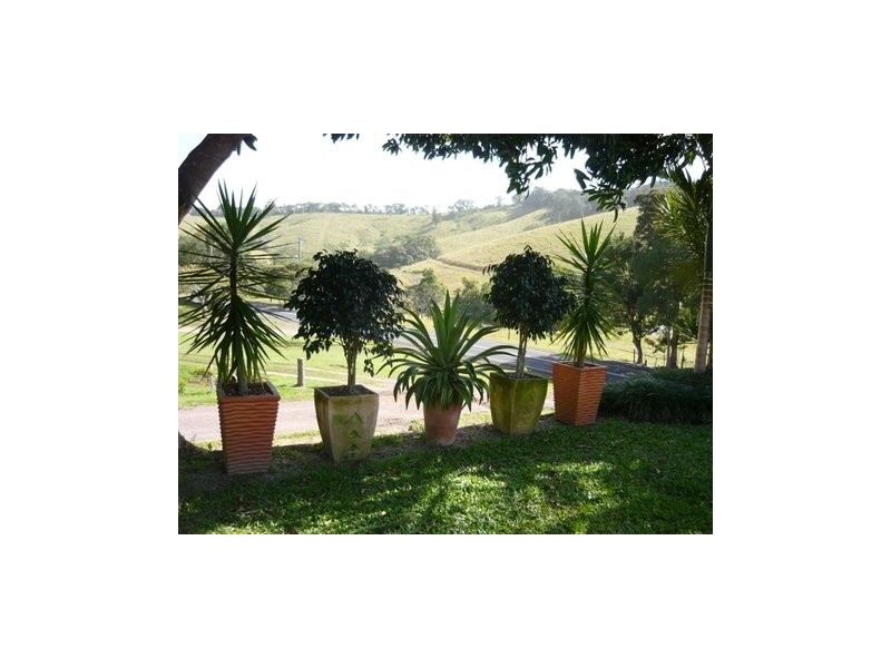 329a Cooroy Belli Creek Road, Cooroy QLD 4563