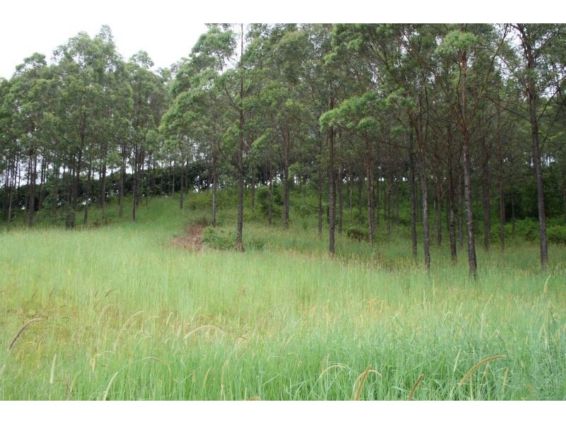 329a Cooroy Belli Creek Road, Cooroy QLD 4563