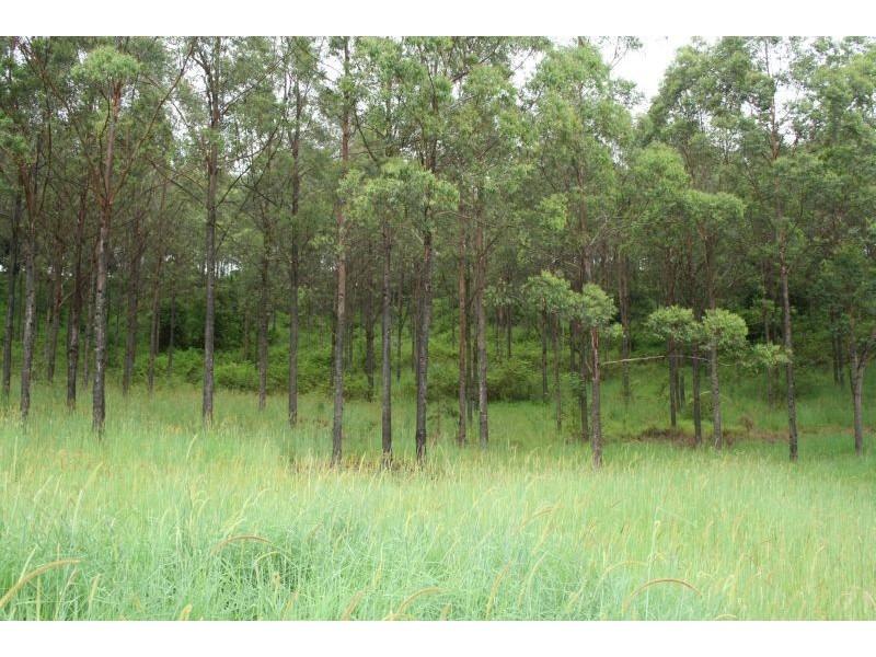 329a Cooroy Belli Creek Road, Cooroy QLD 4563