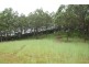 329a Cooroy Belli Creek Road, Cooroy QLD 4563