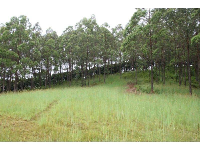 329a Cooroy Belli Creek Road, Cooroy QLD 4563