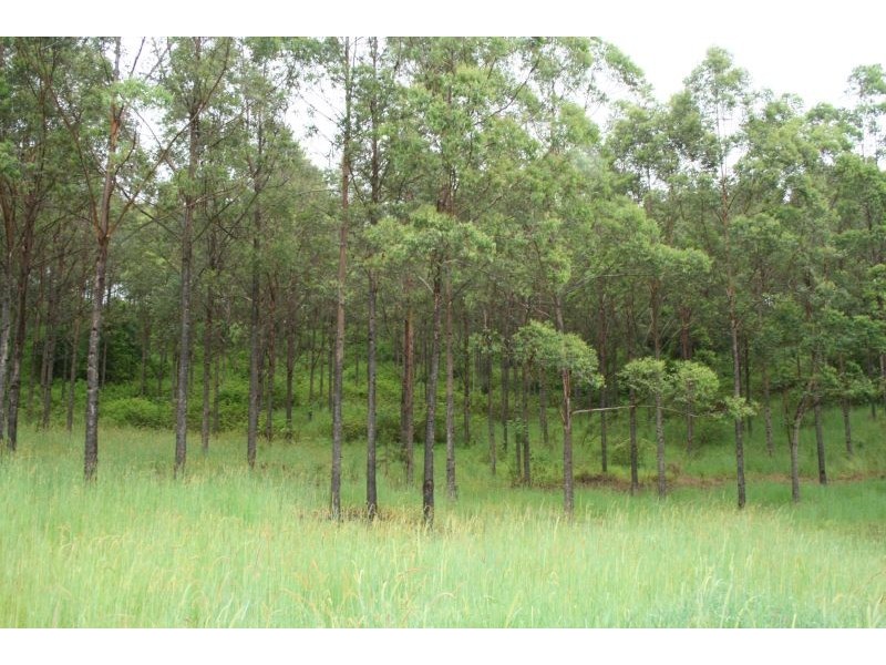 329a Cooroy Belli Creek Road, Cooroy QLD 4563