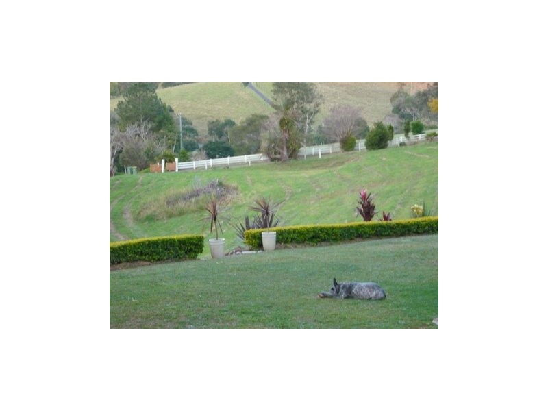 329a Cooroy Belli Creek Road, Cooroy QLD 4563