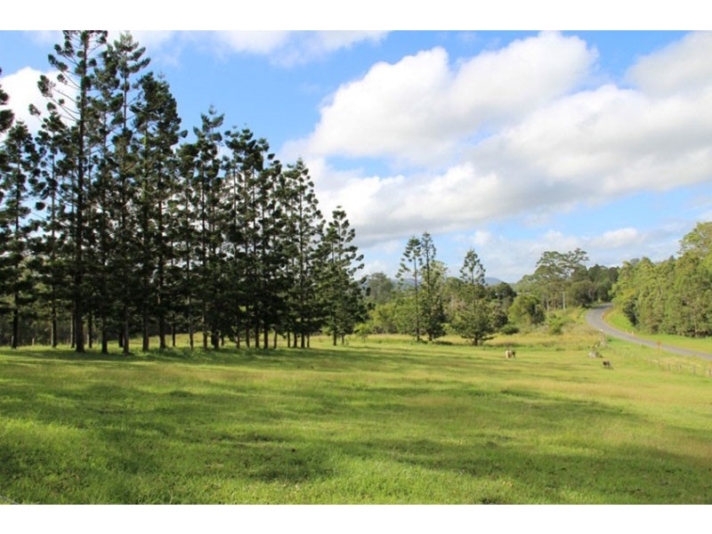 1493 Cooroy Belli Creek Road, Cooroy QLD 4563
