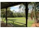 1493 Cooroy Belli Creek Road, Cooroy QLD 4563