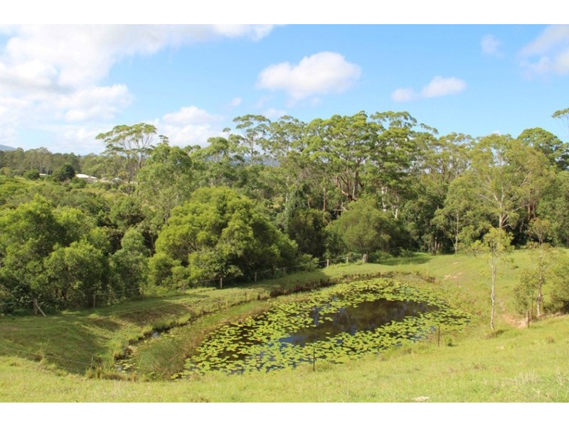 1493 Cooroy Belli Creek Road, Cooroy QLD 4563