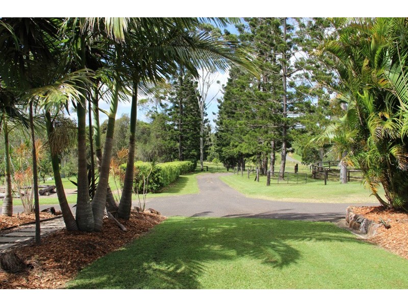 1493 Cooroy Belli Creek Road, Cooroy QLD 4563