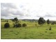 1493 Cooroy Belli Creek Road, Cooroy QLD 4563