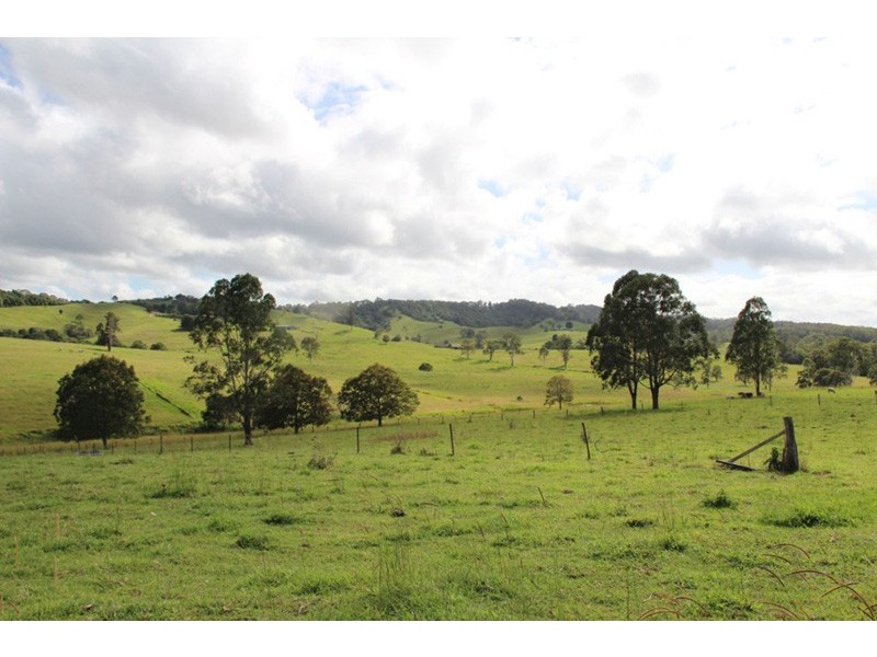 1493 Cooroy Belli Creek Road, Cooroy QLD 4563