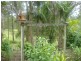 15 Hawk Rd, Pomona QLD 4568