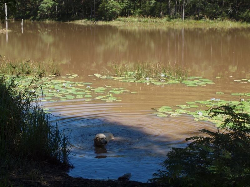 14 Bunderra Way, Cooran QLD 4569