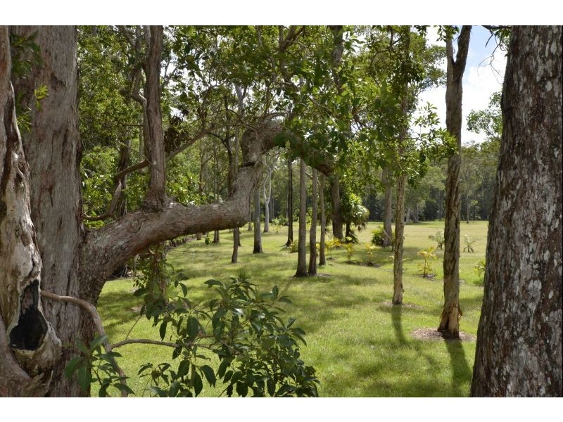 Lot 2 Wallaby Lane, Tinbeerwah QLD 4563