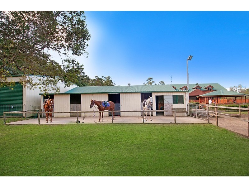 31 Hamilton Road, Cooroy QLD 4563