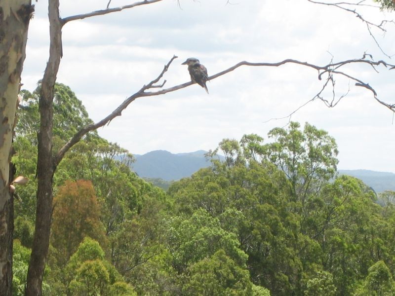 815 Kenilworth Skyring Creek Road, Cooroy QLD 4563