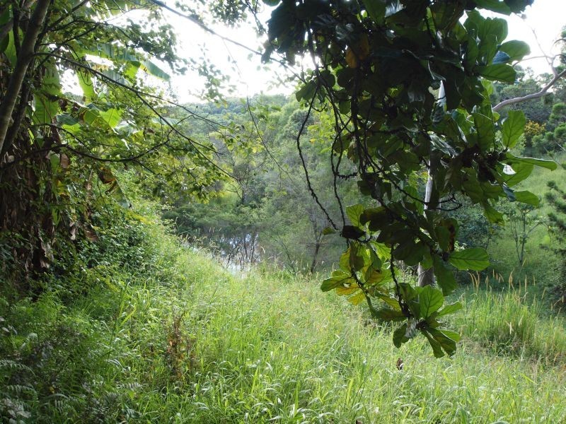 24 Uhlmanns Road, Cooroy QLD 4563