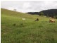 405 Upper Pinbarren Creek Road, Pinbarren QLD 4568