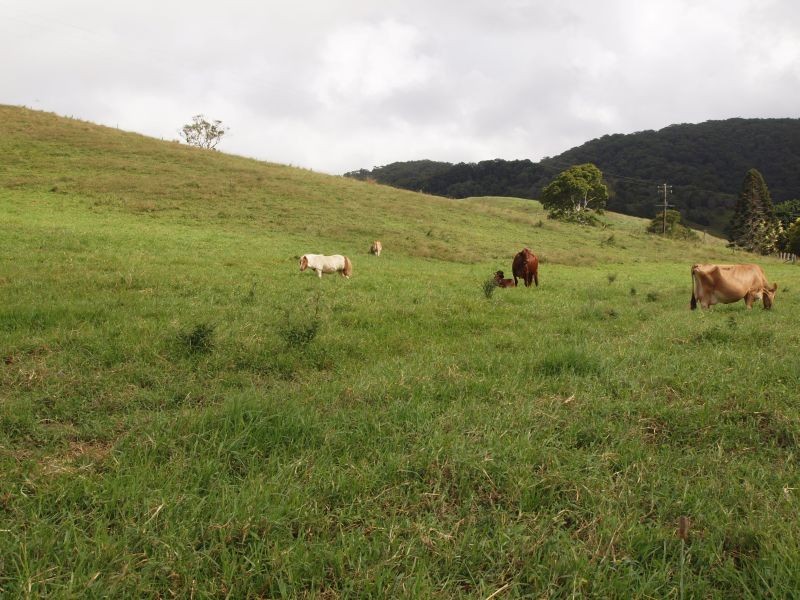 405 Upper Pinbarren Creek Road, Pinbarren QLD 4568