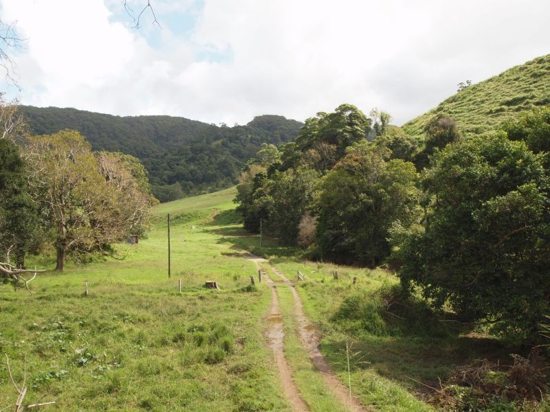 405 Upper Pinbarren Creek Road, Pinbarren QLD 4568