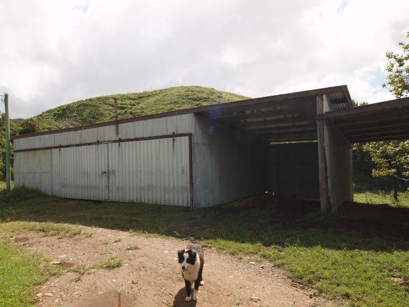 405 Upper Pinbarren Creek Road, Pinbarren QLD 4568