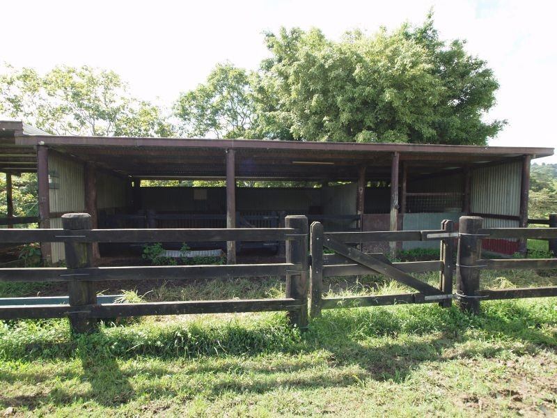 405 Upper Pinbarren Creek Road, Pinbarren QLD 4568