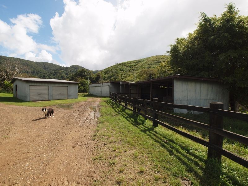 405 Upper Pinbarren Creek Road, Pinbarren QLD 4568