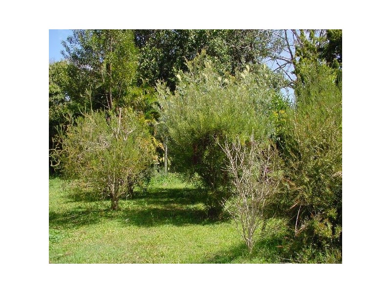 20 Tree Street, Pomona QLD 4568