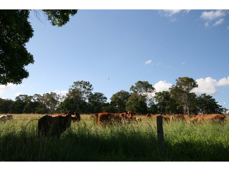 Lot 418 Princess Street, Cooran QLD 4569