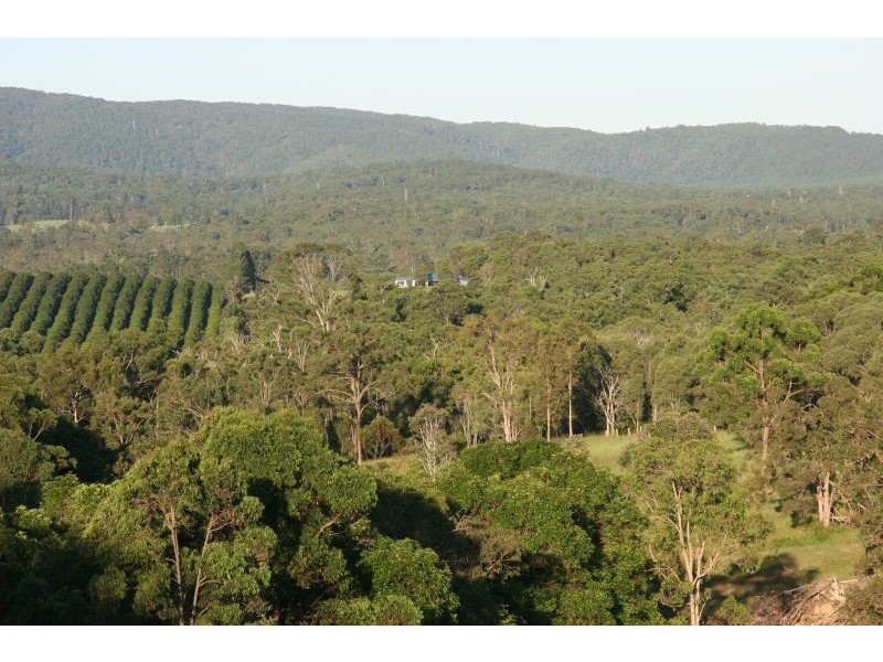 Tandur QLD 4570