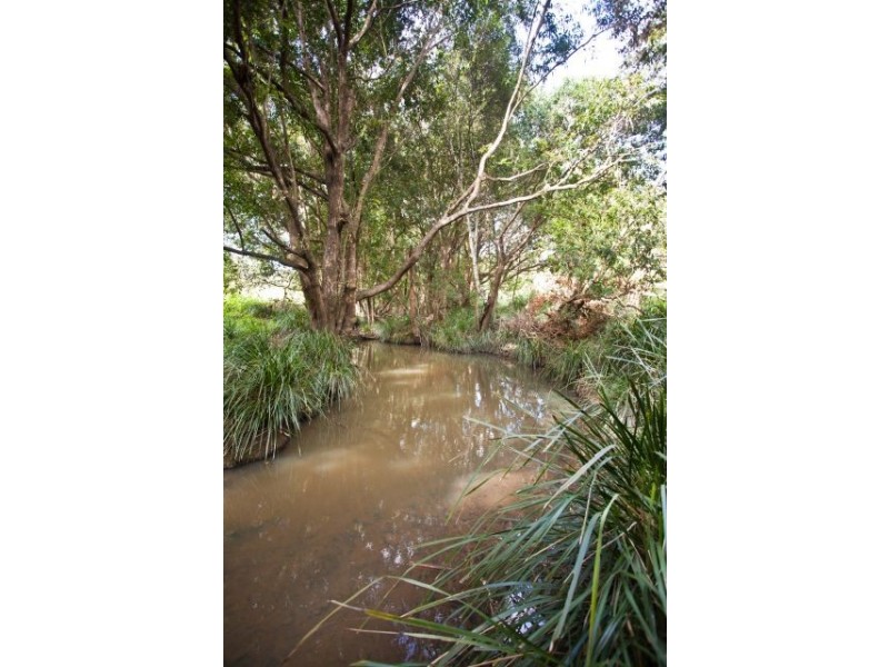 373 Schreibers Road, Cooran QLD 4569