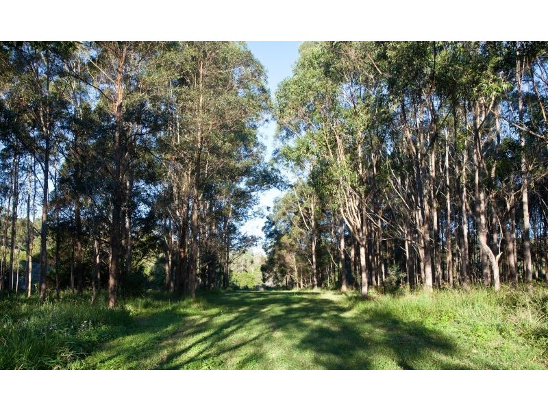 373 Schreibers Road, Cooran QLD 4569